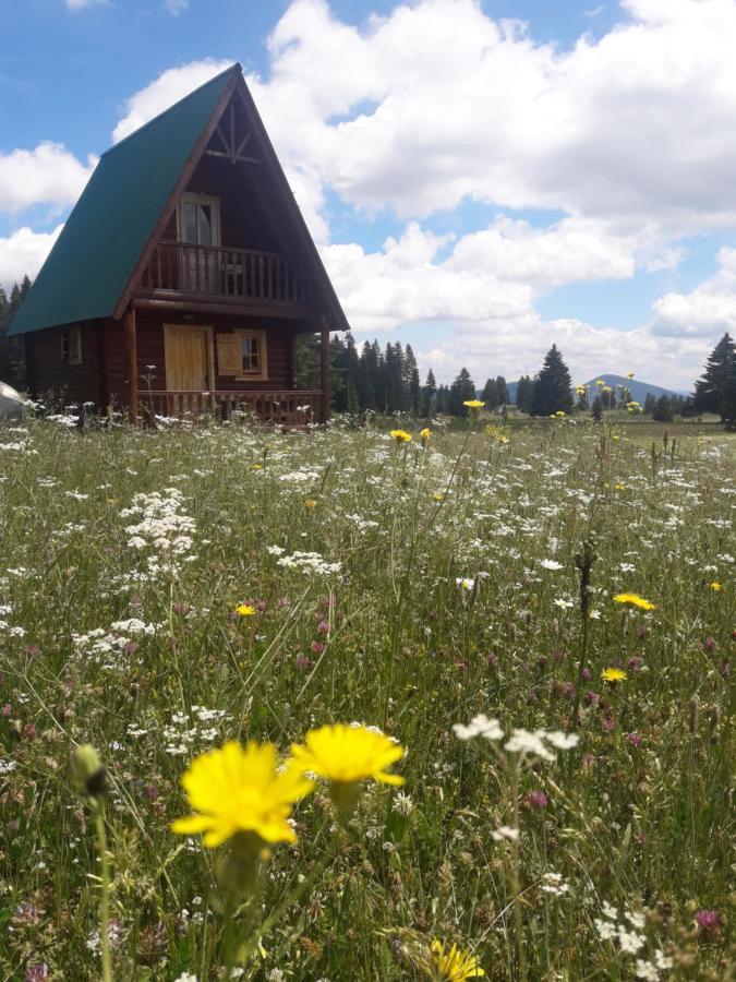 Holiday Home Jabucilo Žabljak Eksteriør bilde